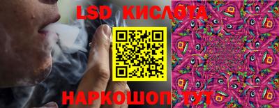 гашик Новодвинск