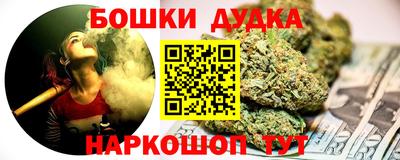 амф Новозыбков