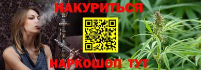 гашик Новодвинск