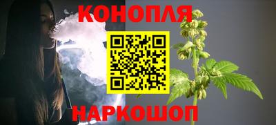 гашик Новодвинск