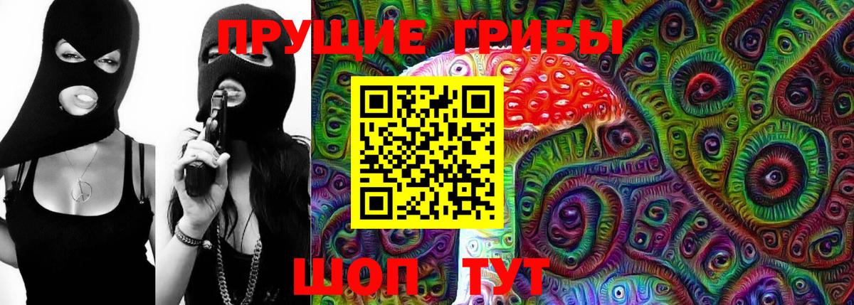 Топки  Псилоцибиновые грибы Psilocybine cubensis  Вход с VPN 